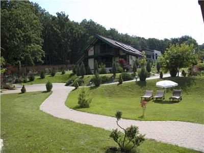 Vanzare vila cu piscina interioara in Faget, Cluj Napoca
