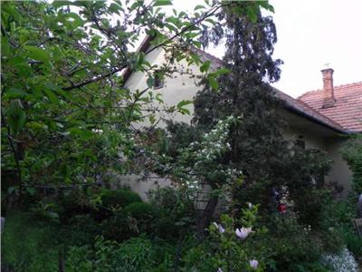 Vanzare casa 960 mp teren zona A.Muresanu, Cluj Napoca