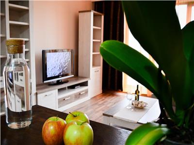 Inchiriere Apartament 3 camere modern in vila zona Iris, Cluj Napoca